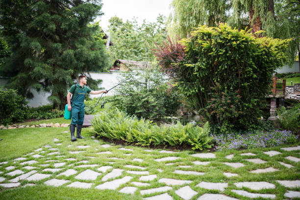 Professional Tree Service in Lido Beach, NY